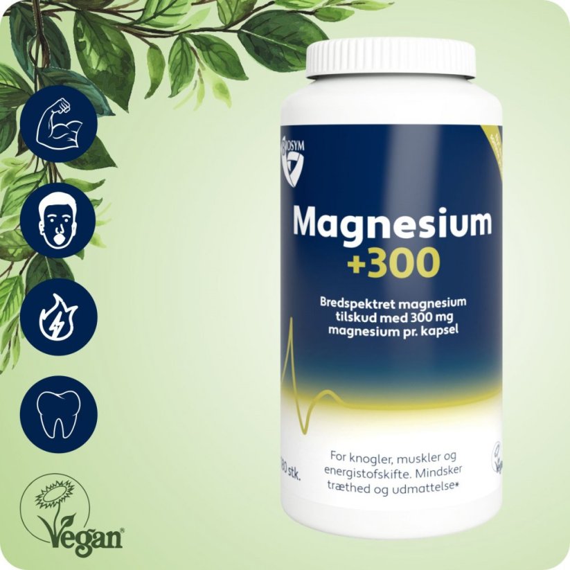Magnesium+300 (160 ks)